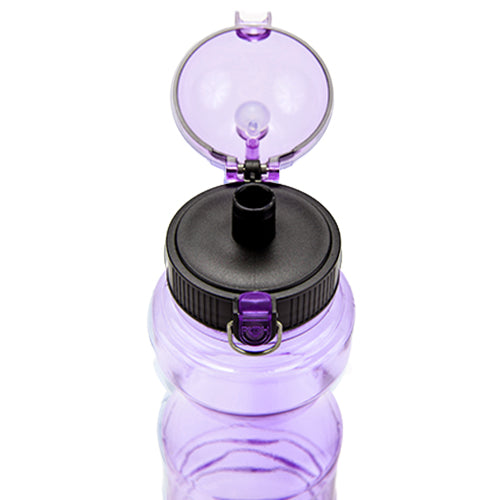 Bullet Water Bottle with Straw -1 Liter (34oz) Iris Purple